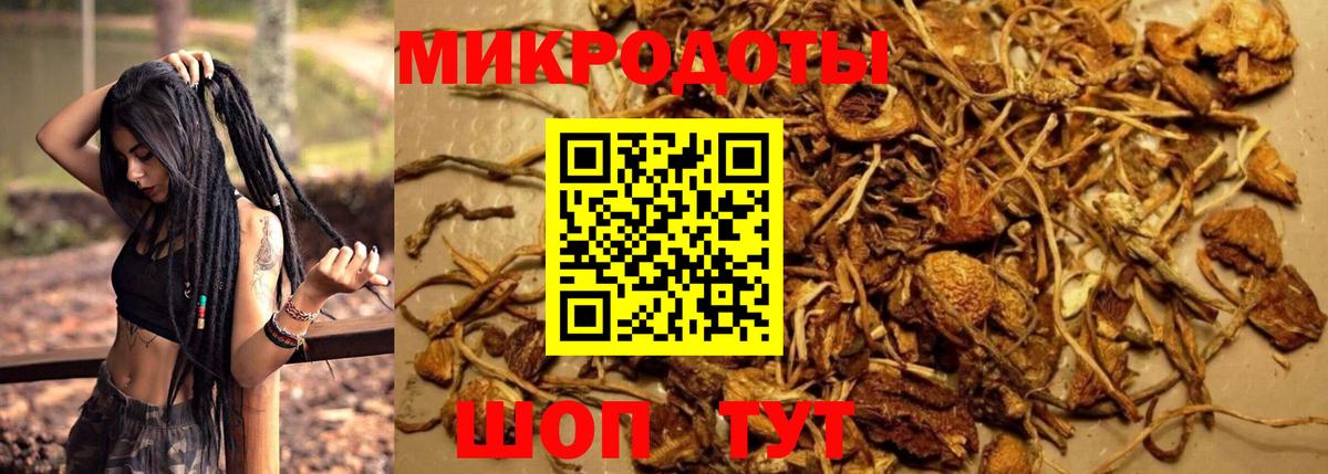 Галлюциногенные грибы прущие грибы Трёхгорный