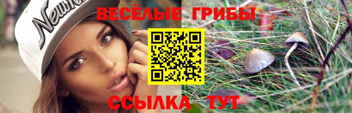 Псилоцибиновые грибы Psilocybe  Вход с VPN  Трёхгорный 